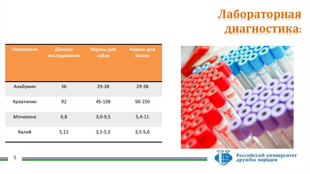 Лабораторная диагностика: