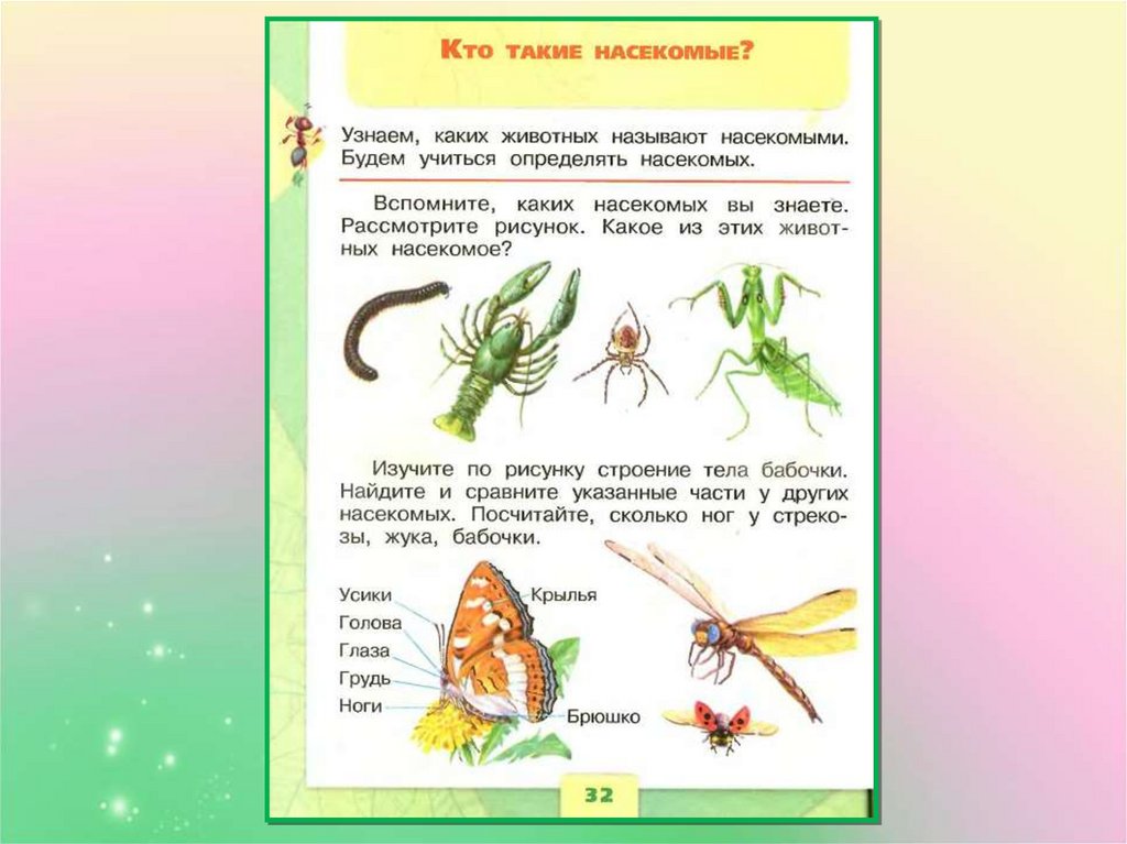 Насекомые урок 1 классе. Кто такие насекомые 1 класс окружающий мир учебник. Окружающий мир 1 класс учебник Плешаков насекомые. Учебник окружающий мир 1 класс тема насекомые. Плешаков 1 класс насекомые школа России.