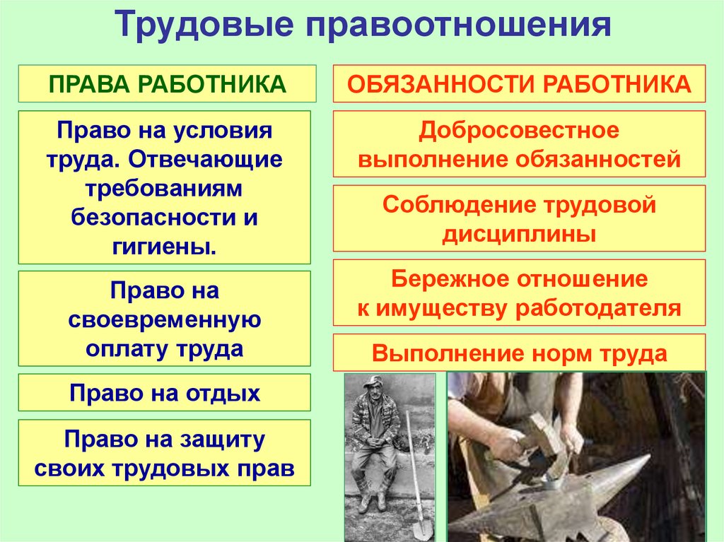 Трудовые правоотношения презентация 10 класс