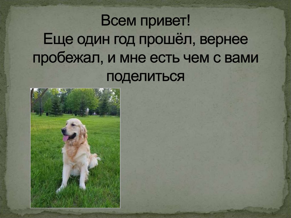 Всем привет! Еще один год прошёл, вернее пробежал, и мне есть чем с вами поделиться