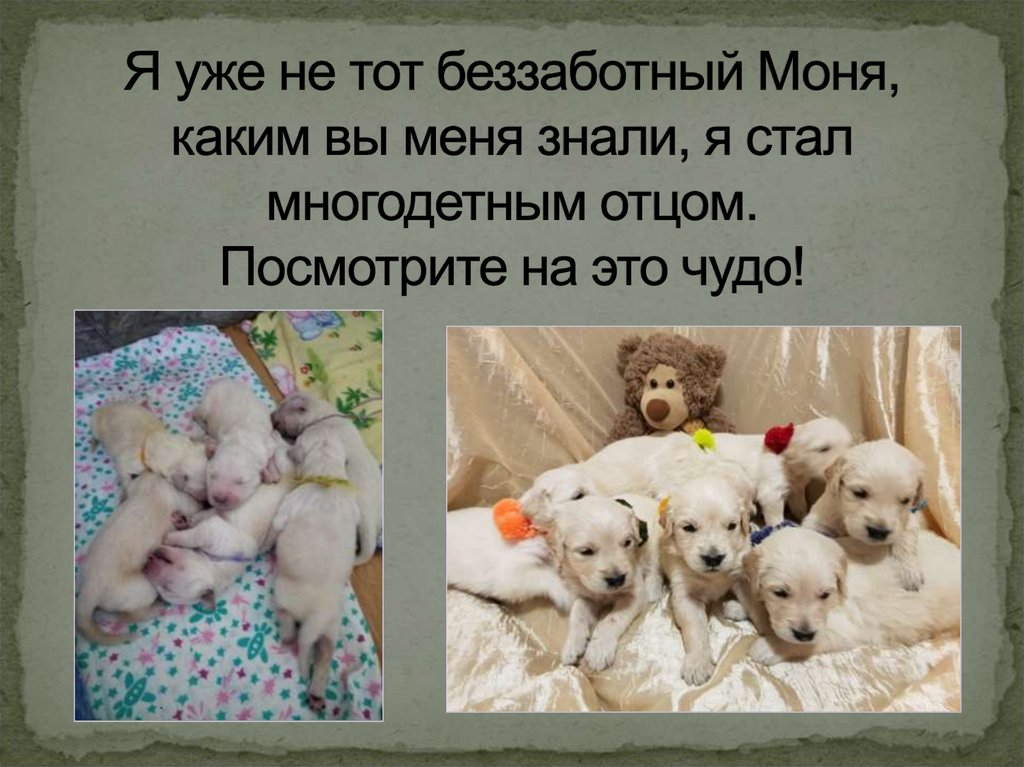 Я уже не тот беззаботный Моня, каким вы меня знали, я стал многодетным отцом. Посмотрите на это чудо!