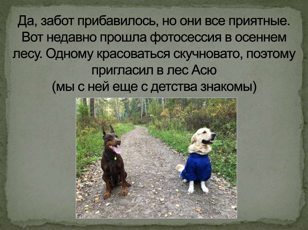 Да, забот прибавилось, но они все приятные. Вот недавно прошла фотосессия в осеннем лесу. Одному красоваться скучновато,