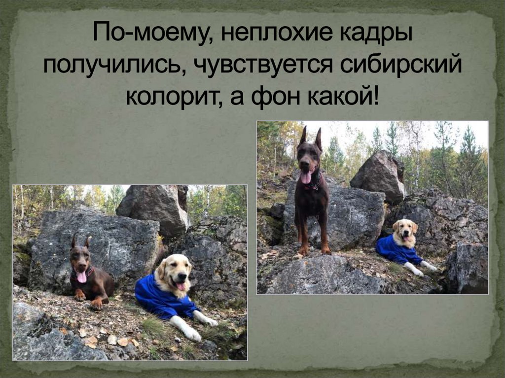 По-моему, неплохие кадры получились, чувствуется сибирский колорит, а фон какой!