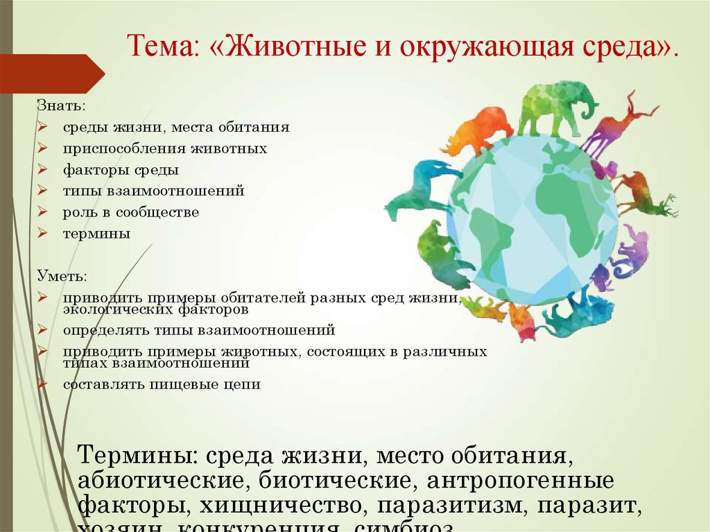Тема: «Животные и окружающая среда».