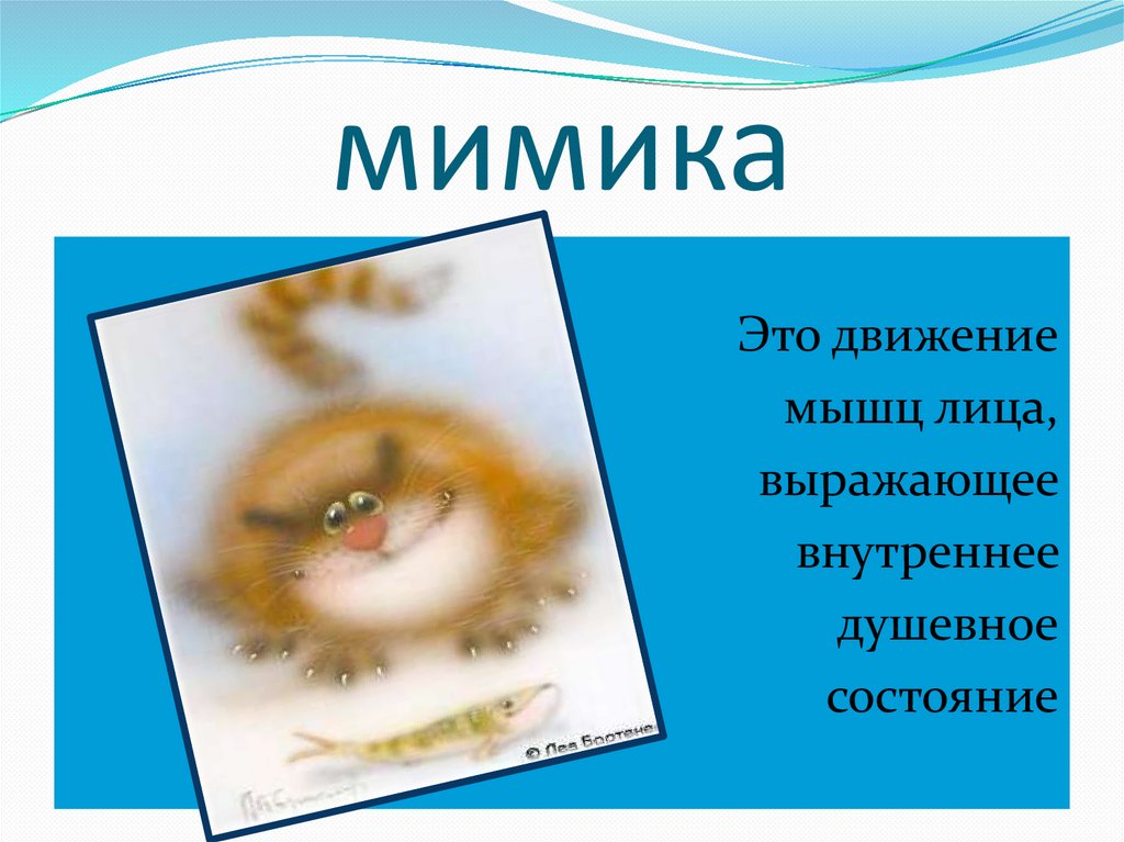 мимика