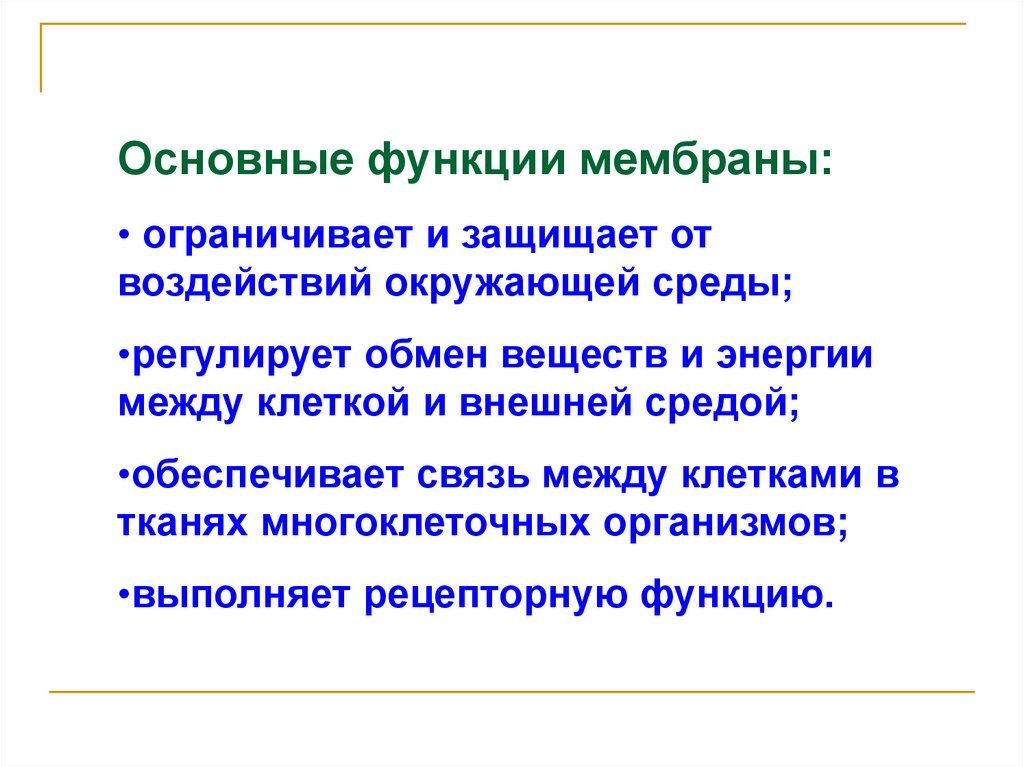 Мембрана функции. Основная функция клеточной мембраны. Основные функции мембраны. Основные функции клеточной мембраны. Главные функции клеточной мембраны.