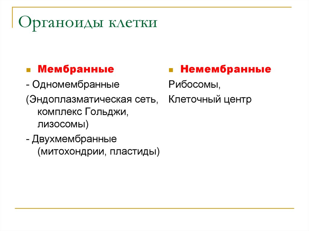 Органоиды клетки