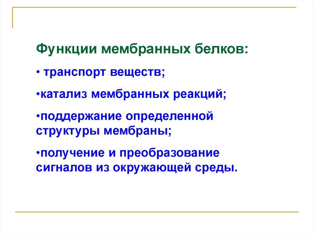 Функции мембранных белков. Функции месьранных ьелоув. Функции двумембранных белков. Функции белков мембраны.