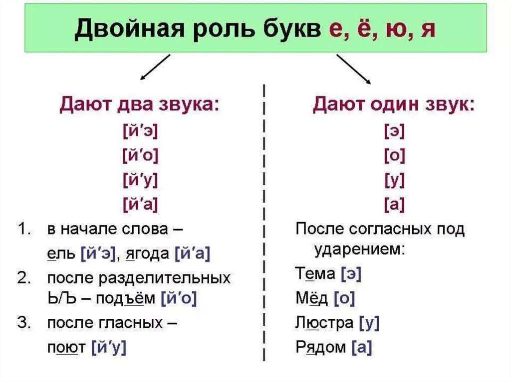 Сколько букв сколько звуков в слове стоять. Транскрипция гласных звуков русского языка. Слова с йотированными гласными для фонетического разбора. Фонетический разбор буквы е. Транскрипция звука е в русском языке.