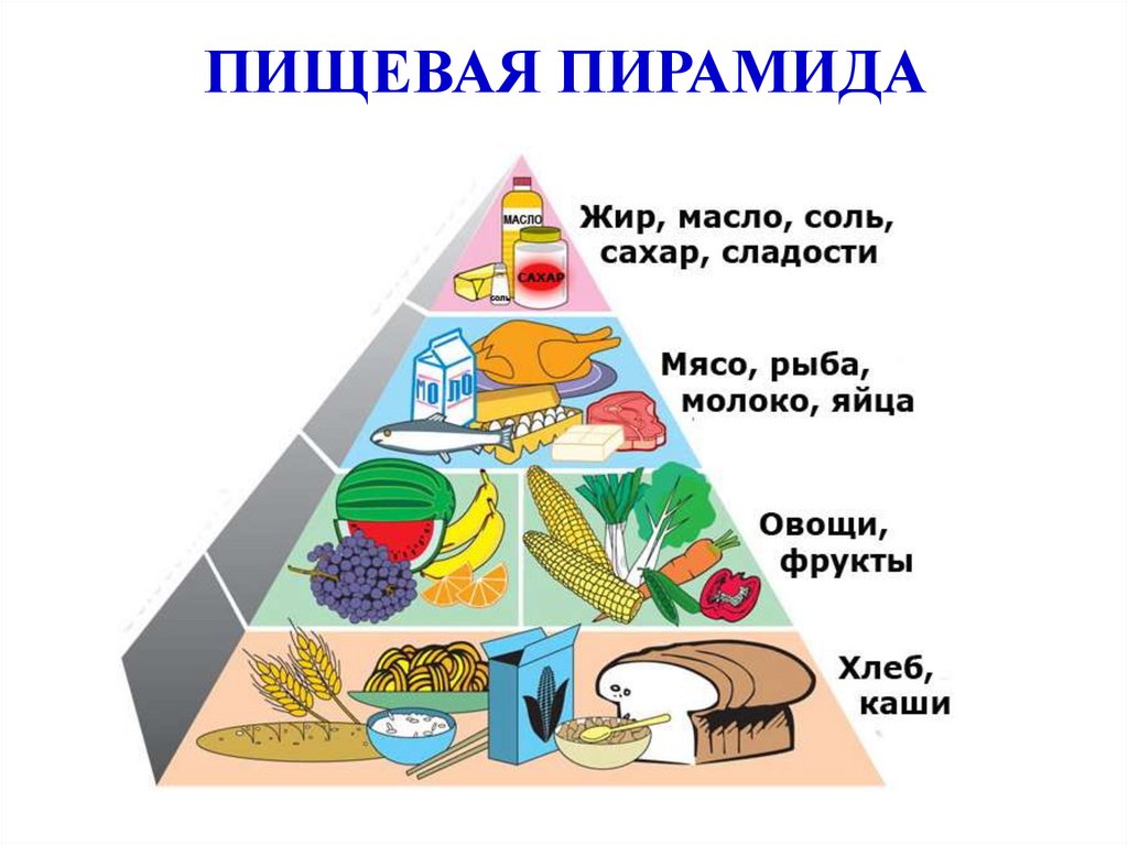 Укажите уровни пищевой пирамиды начиная с продуктов. Пирамида питания. Пирамида питания пищевая пирамида. Пирамида здорового питания. Рацион правильного питания пирамида.