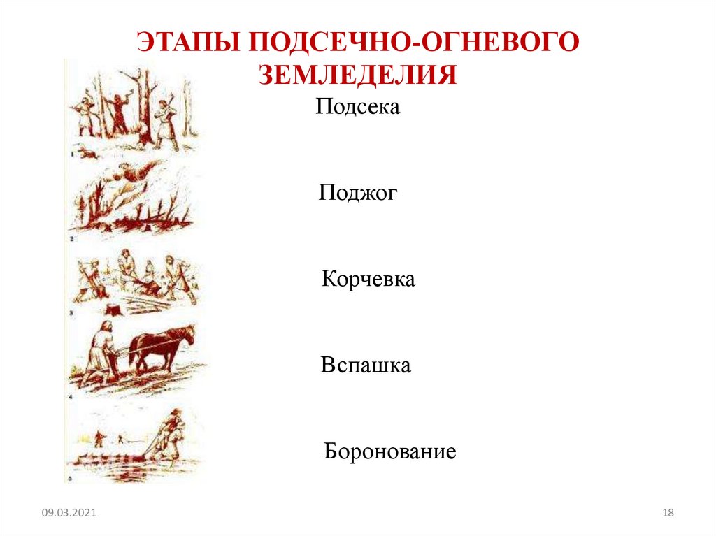 Сравнить подсечно огневую систему земледелия