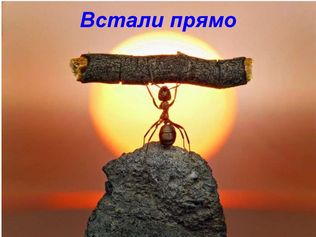 Встали прямо