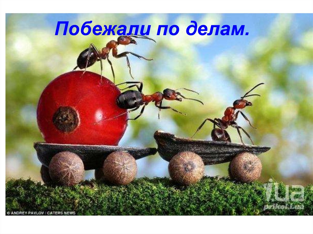 Побежали по делам.