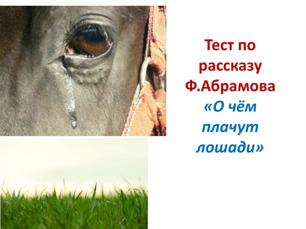 Тест по произведению о чем плачут лошади. О чём плачут лошади Абрамов. Как плачут лошади. Рисунок к рассказу о чем плачут лошади. О чем плачут лошади тема.