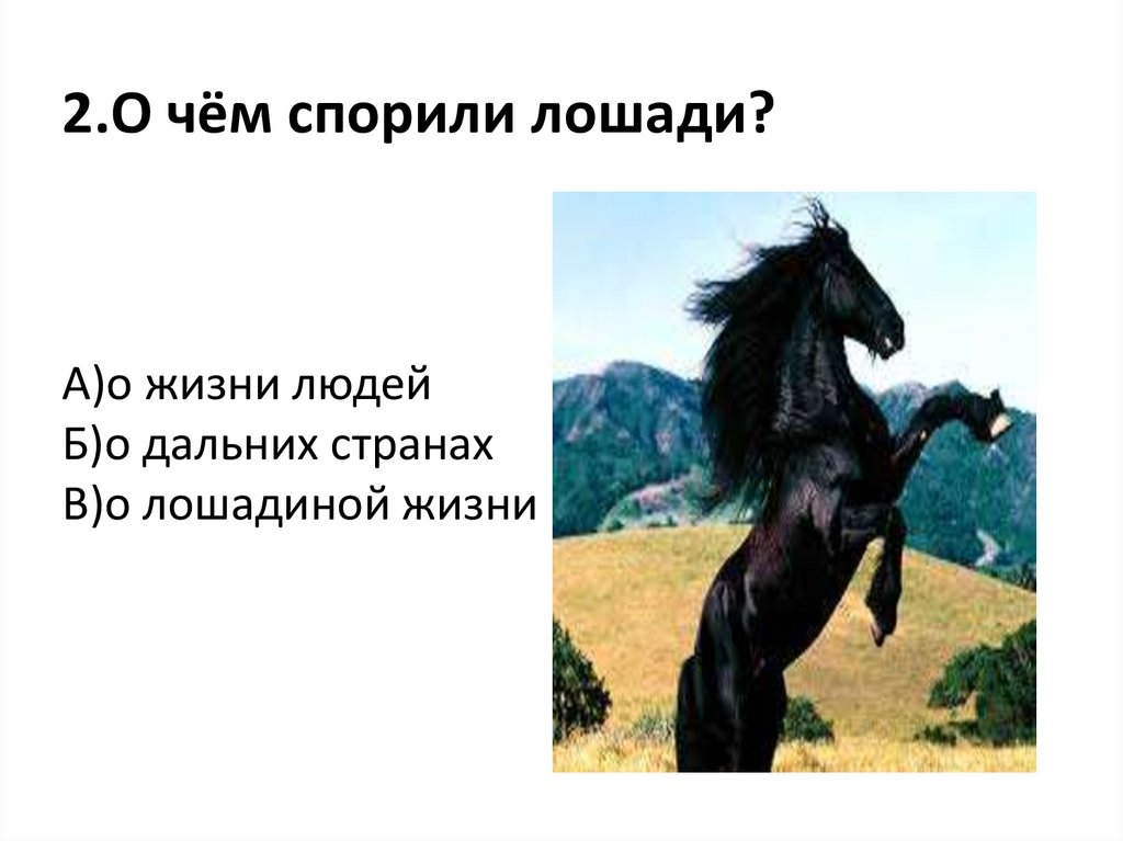 Тест по рассказу о чем плачут лошади. Лошадь для презентации. План о лошади. Как кричит лошадь. Ф. А. Абрамова «о чем плачут лошади».