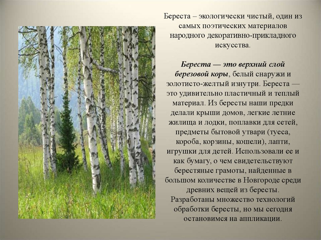 Береста – экологически чистый, один из самых поэтических материалов народного декоративно-прикладного искусства. Береста — это