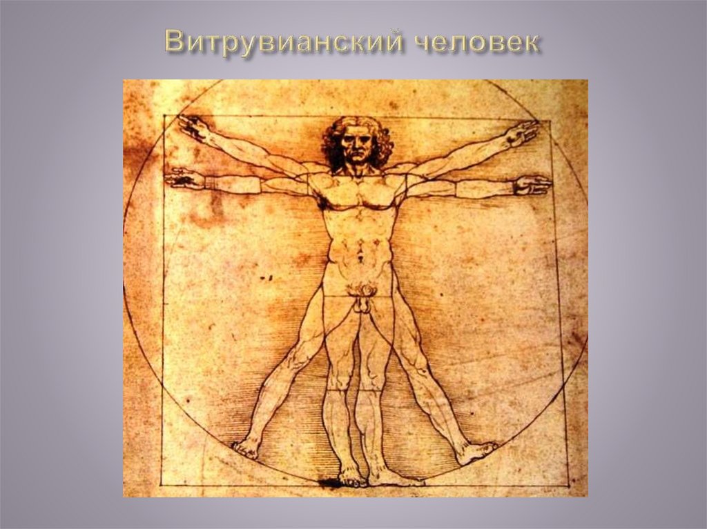 Витрувианский человек 