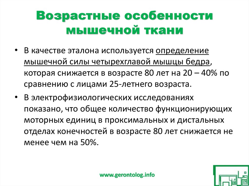 Возрастные особенности мышц