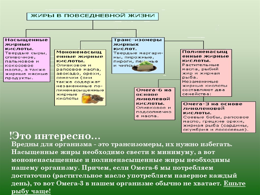 Обмен белков жиров и углеводов презентация