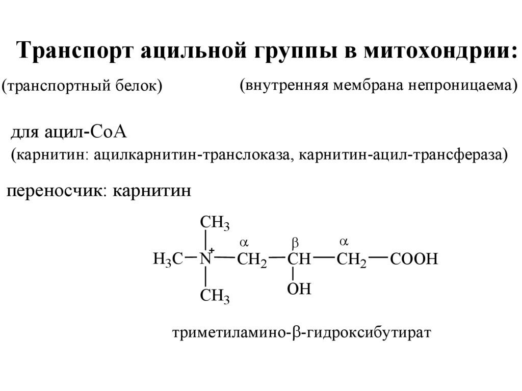 Бета окисление масляной кислоты схема и описание