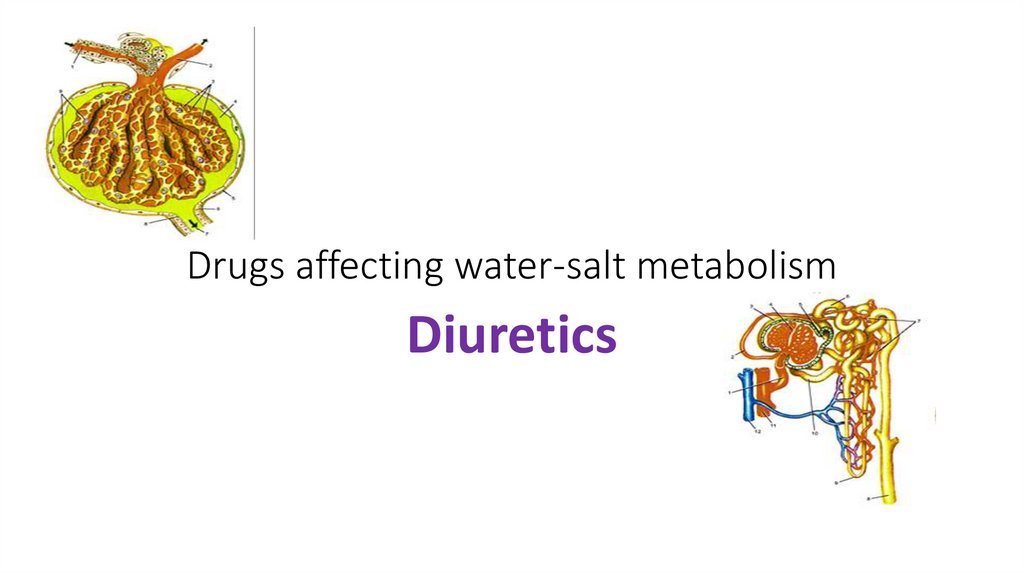 Drugs affecting water-salt metabolism