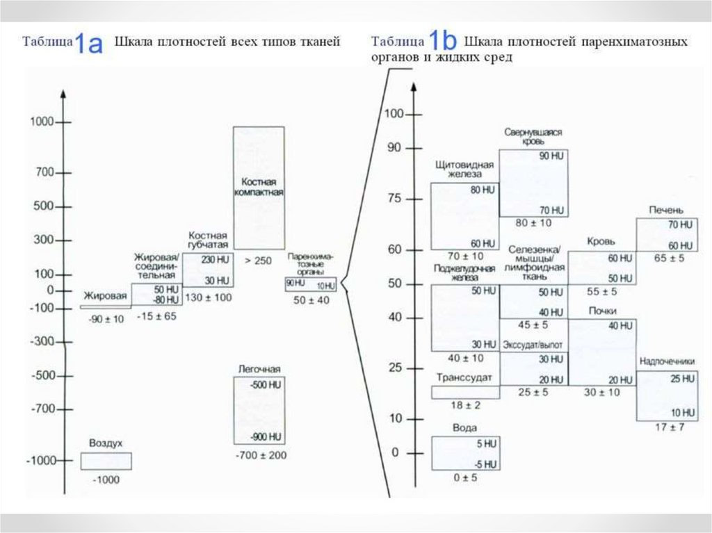 Шкала хаунсфилда презентация