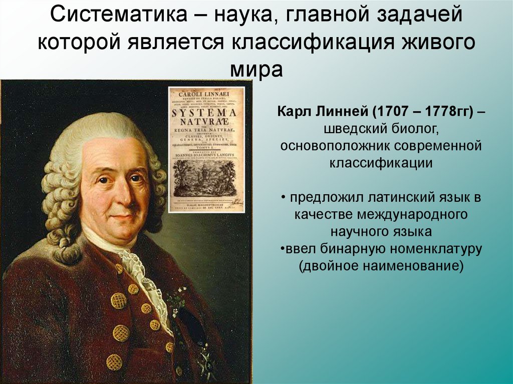 Систематизация наук. Карл Линней наука. Капли линей бинарная наука. Карл Линней основатель систематики. Карл Линней основоположник систематики.