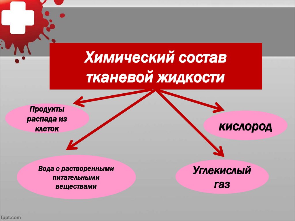 Функции тканевой жидкости. Тканевой состав. Избыток тканевой жидкости. Неорганические вещества тканевой жидкости. Индивидуальный химический состав.