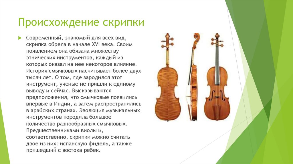 Происхождение скрипки. История происхождения скрипки. Рассказ о скрипке. Интересный рассказ о скрипке.