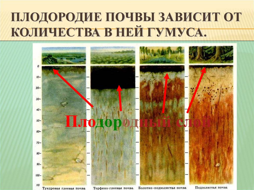 Уменьшения естественного плодородия почв. Плодородие почвы. Почва плодородие почвы. Почвы по плодородности. Плодородие почвы определяется.