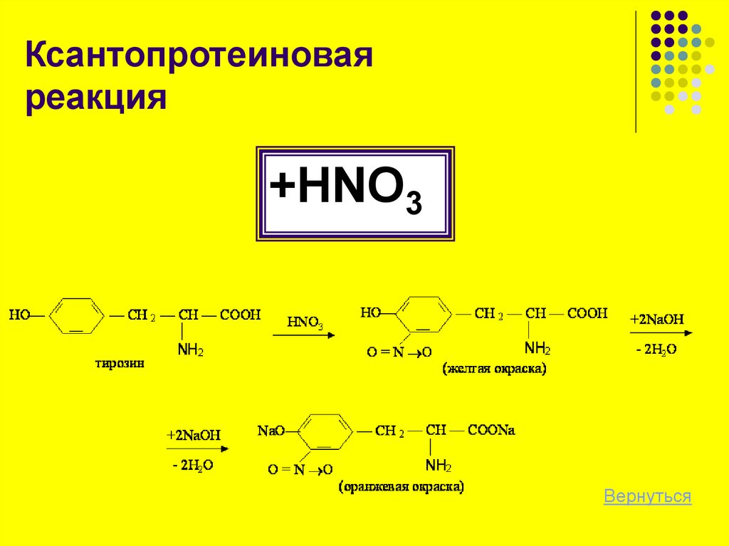 Ксантопротеиновая реакция схема реакции