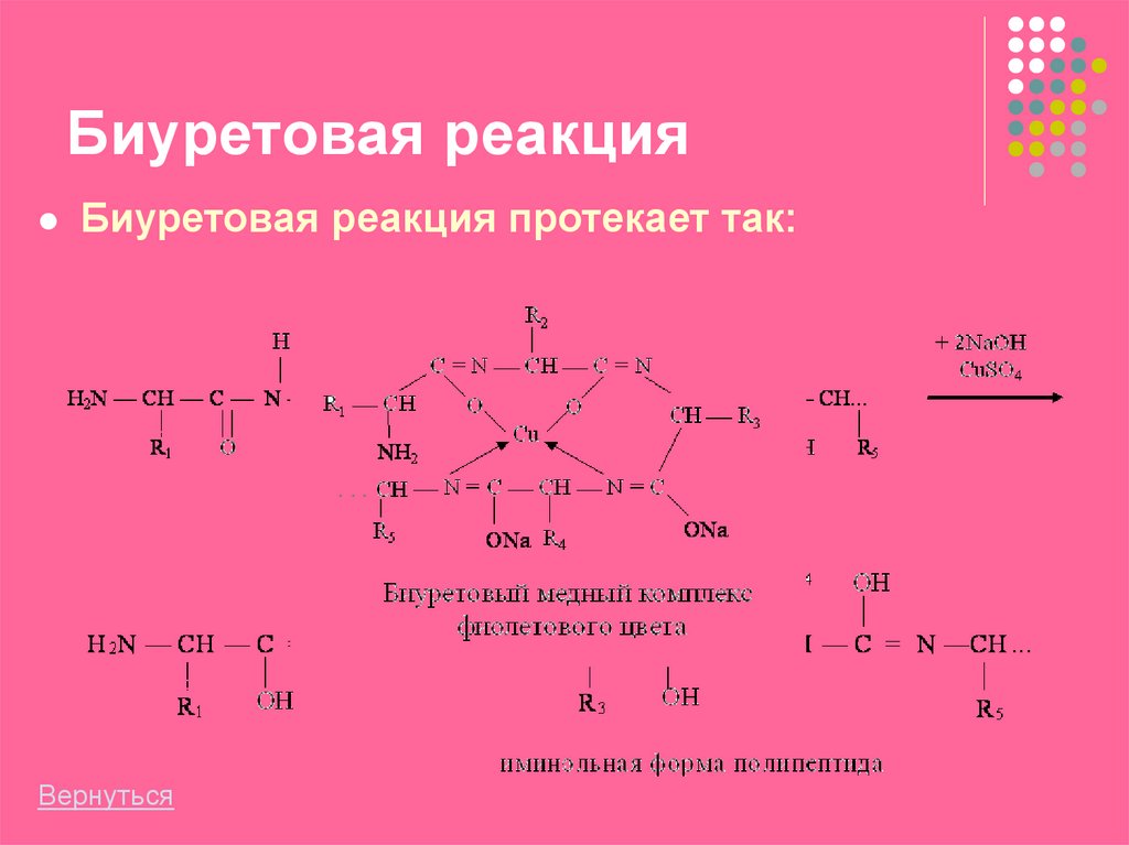 Напишите схему биуретовой реакции