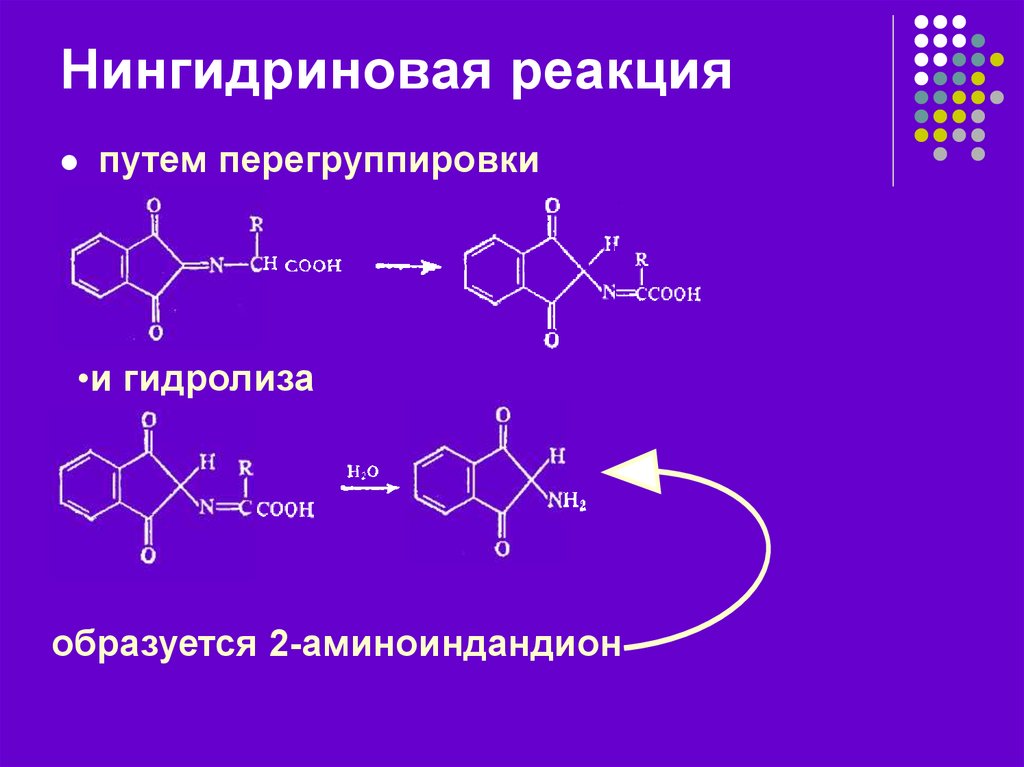 Нингидриновая реакция