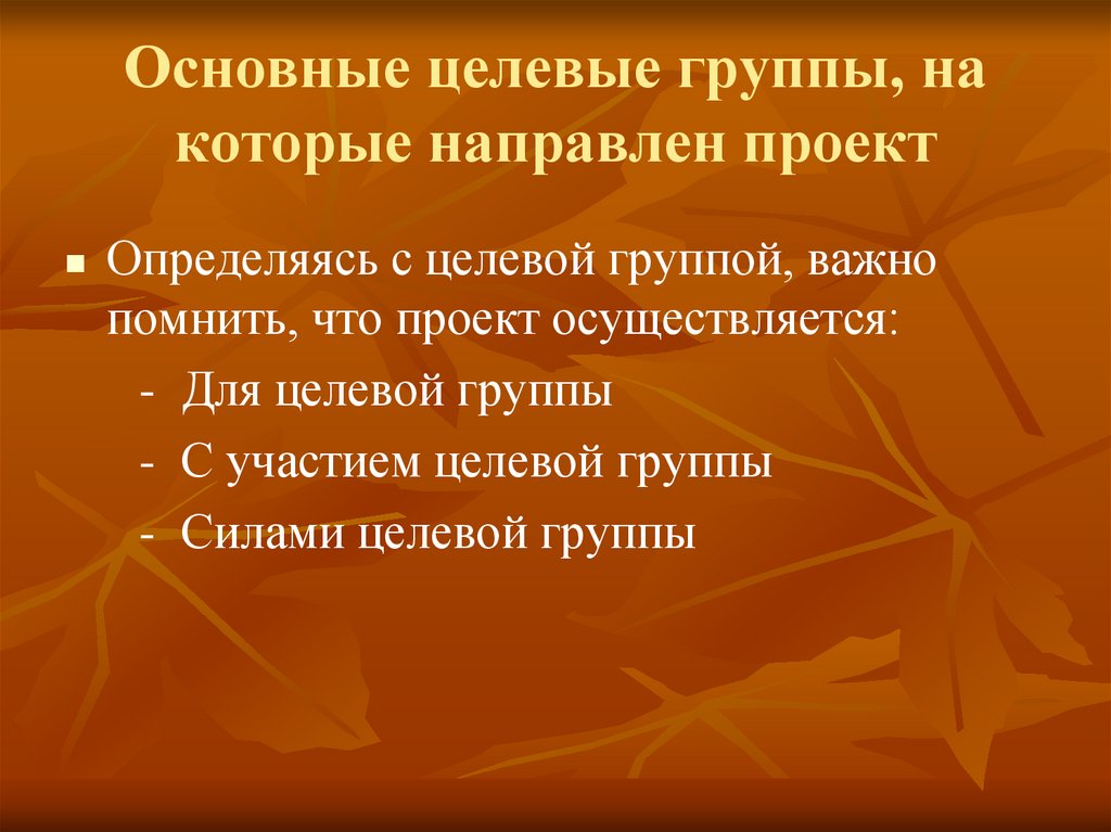 Основные целевые группы на которые направлен проект пример