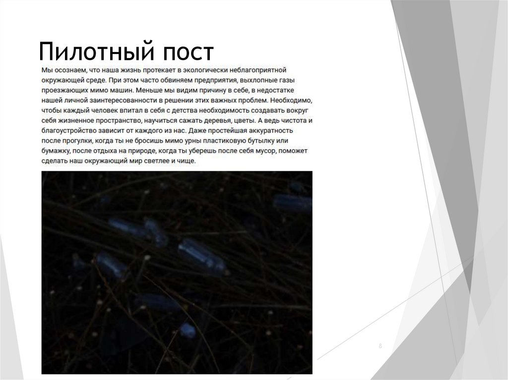 Пилотный пост