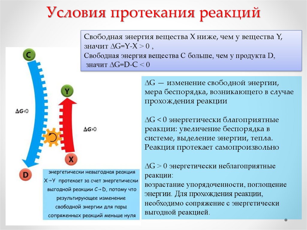 В организме протекает реакция