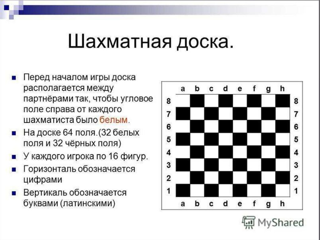 В левый нижний угол шахматной доски. Шахматные фигуры названия и расстановка. Расположение шахмат на шахматной доске. Названия шахматной доски. Расположение шахмат на шахматном поле.