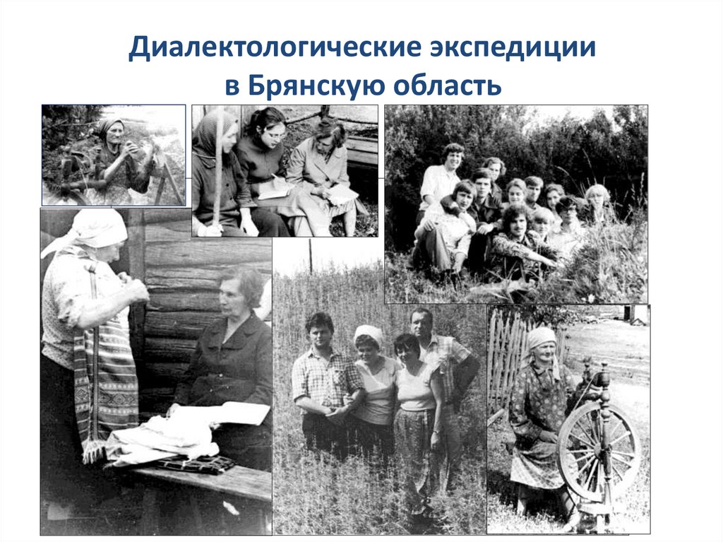 Диалектологические экспедиции в Брянскую область