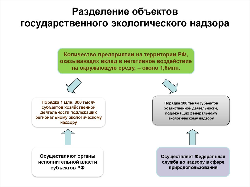 Разделение объектов. Объекты государственного экологического надзора. Субъекты экологического надзора. Порядок проведения государственного экологического надзора. Порядка 100 это.