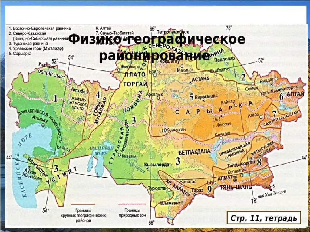 Тектоническое строение западно сибирской равнины таблица