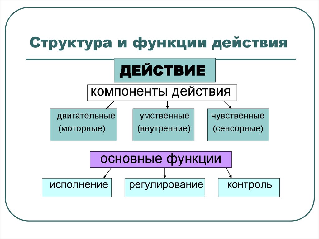 Действия с функциями. Компоненты действия и их функции. Действия над функциями примеры. Функционал действия.