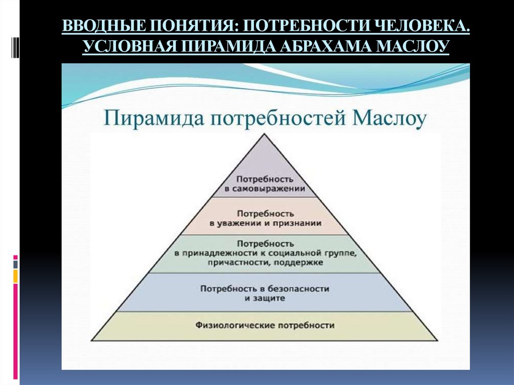 ВВОДНЫЕ ПОНЯТИЯ: ПОТРЕБНОСТИ ЧЕЛОВЕКА. УСЛОВНАЯ ПИРАМИДА АБРАХАМА МАСЛОУ