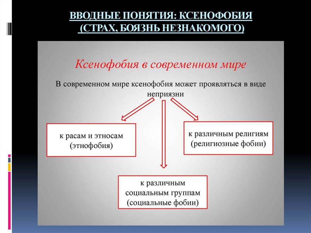 ВВОДНЫЕ ПОНЯТИЯ: КСЕНОФОБИЯ (СТРАХ, БОЯЗНЬ НЕЗНАКОМОГО)