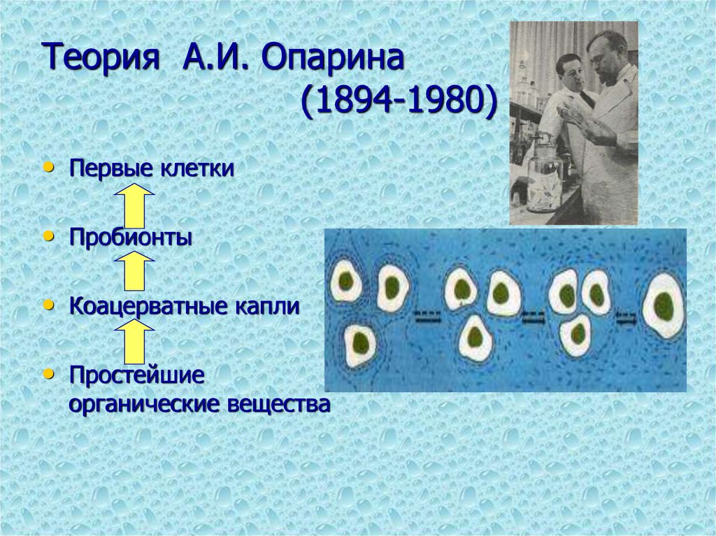 Теория А.И. Опарина (1894-1980)