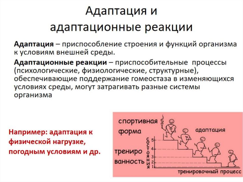 Компенсаторно приспособительные реакции схема