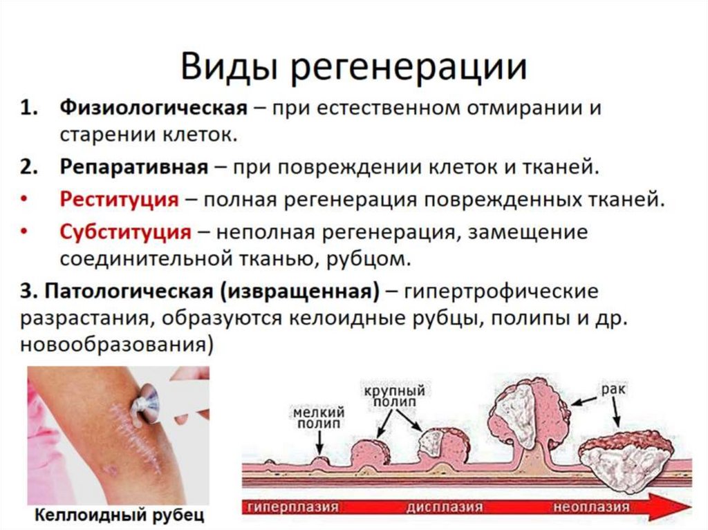 Экстремальные состояния патология презентация