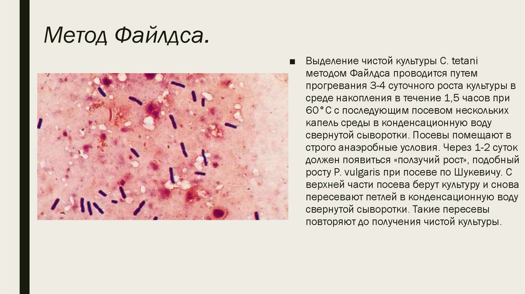 Микробиологическая диагностика столбняка презентация