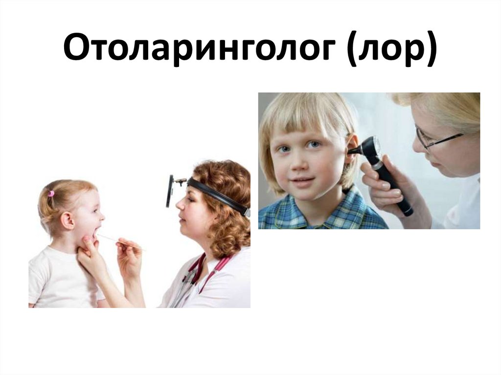 Отоларинголог (лор)