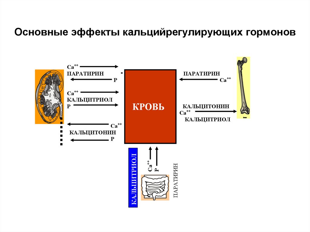 Механизм участия