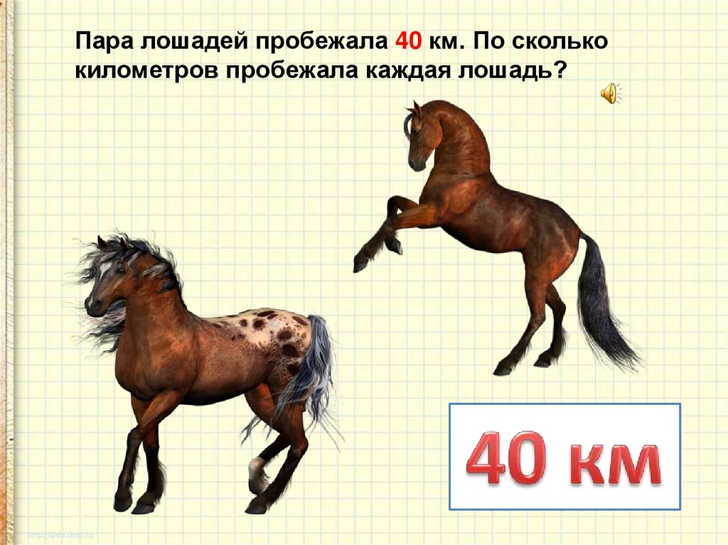 Скорость лошади в километрах в час